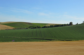 Relieve arcilloso Relieve arcilloso