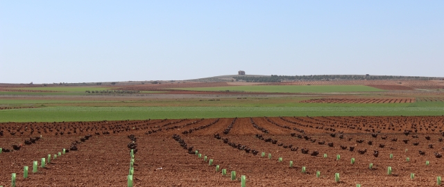 Paisaje manchego Paisaje manchego