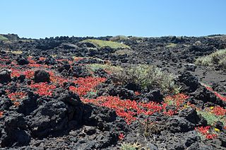 Relieve volcánico 2 Relieve volcánico 2
