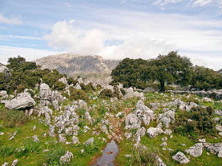 Sierra de Grazalema Sierra de Grazalema