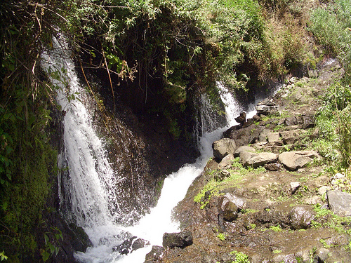 Nacientes de Marcos y Cordero Nacientes de Marcos y Cordero