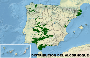 Distribución del alcornoque Distribución del alcornoque