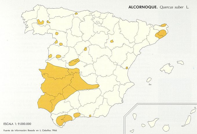 Distribución del alcornoque Distribución del alcornoque
