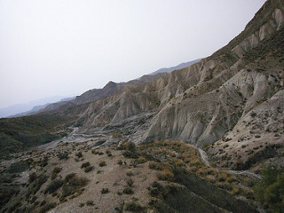 Estepa en el desierto de Tabernas Estepa en el desierto de Tabernas