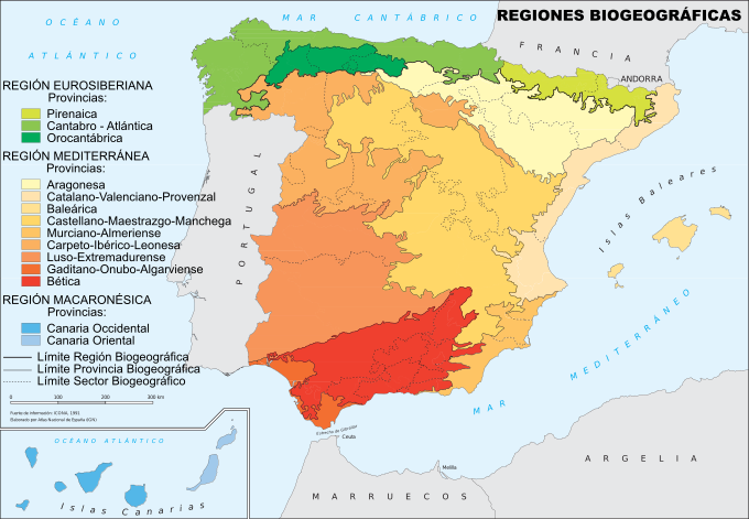 Regiones biogeográficas