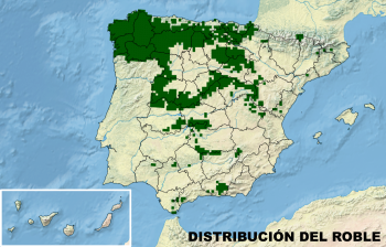Distribución del roble Distribución del roble