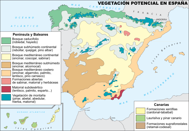 Vegetación potencial en España Vegetación potencial en España
