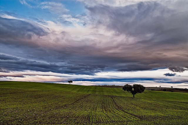 Campo en Extremadura Campo en Extremadura