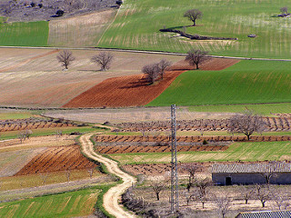 Parcelas agrícolas Parcelas agrícolas