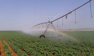 Regadío en la Vega del Guadalquivir Regadío en la Vega del Guadalquivir