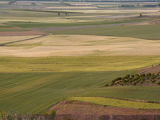 Secanos en la Tierra de Campos (Palencia)